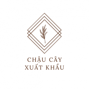 logo chaucayxuatkhau