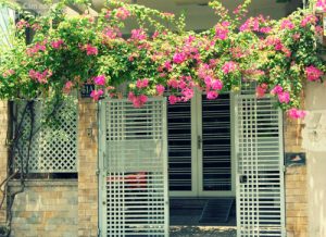 Read more about the article Những vị trí đặt cây phong thủy trong nhà mang phước lộc vào nhà