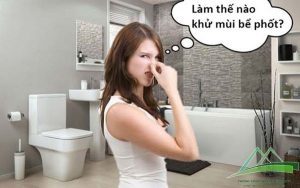 Read more about the article Trồng cây xanh trong nhà tắm giúp khử mùi, hút độc