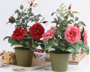Read more about the article Hoa hồng trồng trong nhà được không? Cách chăm sóc hoa thế nào?