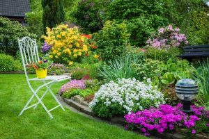 Read more about the article Top các loại hoa đẹp trồng sân vườn đẹp đang được yêu thích
