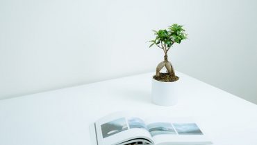 Sách kỹ thuật uốn cây bonsai đẹp