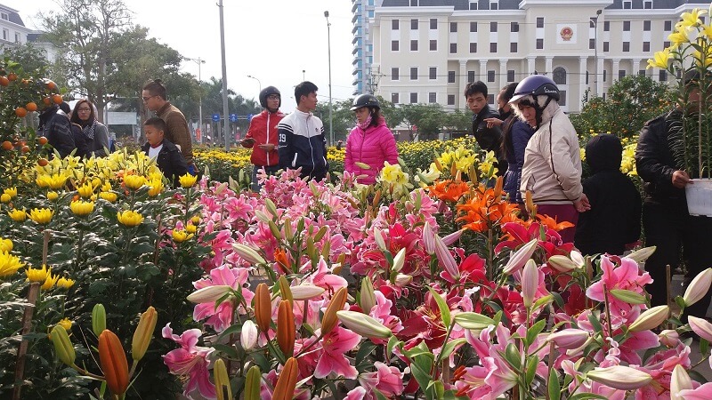 【Khám phá】các loại hoa bán chạy ngày Tết & mẹo kinh doanh | Flowerfarm.vn - shophoa