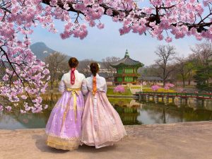 Read more about the article Ý nghĩa các loài hoa ở Hàn Quốc theo ngày theo tháng