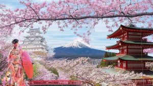 Read more about the article 【Khám phá】ý nghĩa các loài hoa trong tiếng Nhật