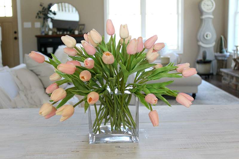 Công dụng của hoa tulip