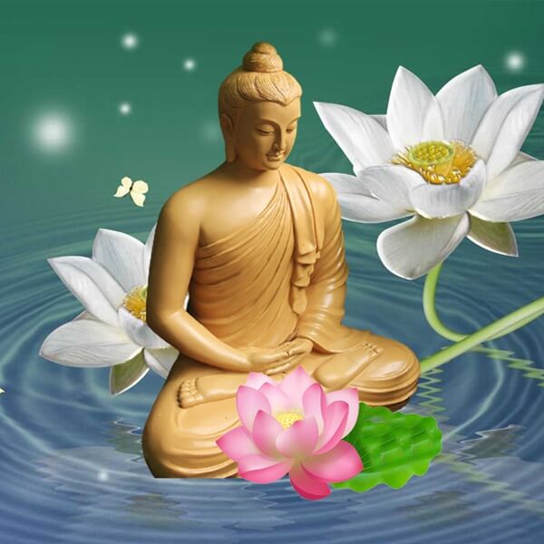 ý nghĩa hoa sen trắng Trong Phật giáo