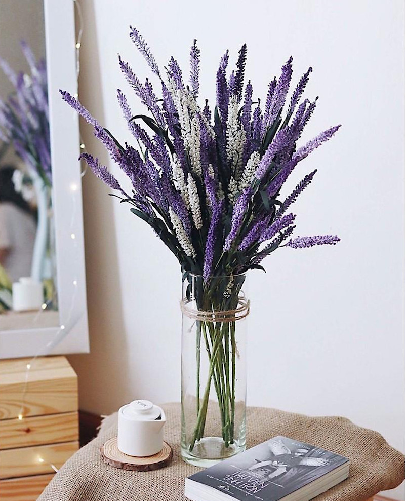 hoa lavender giả